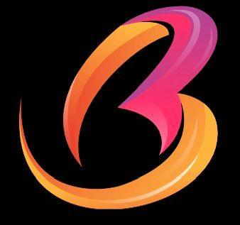 Badhon Service Ltd. logo