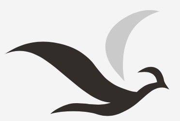 Tahasan International