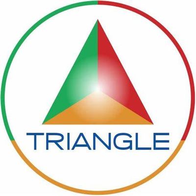Triangle Services Ltd
